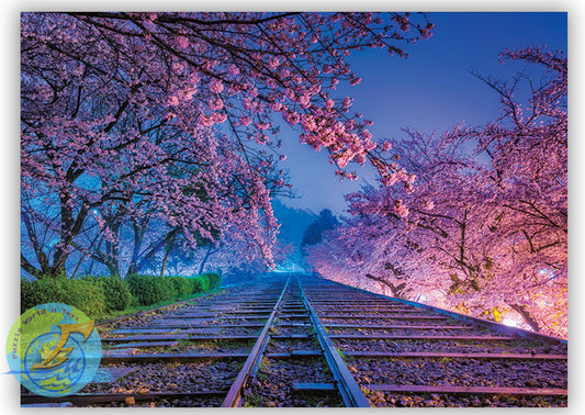 夢之軌道(京都)