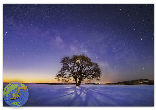 北海道樹(天空物語)