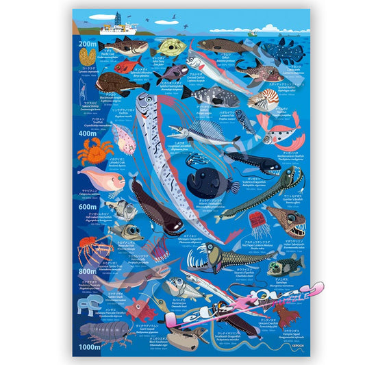 深海生物圖鑑