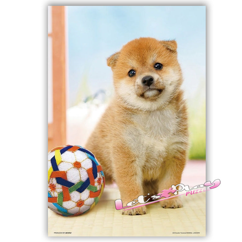 狗( 柴犬)