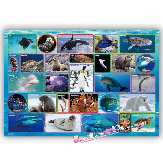 水族館生物