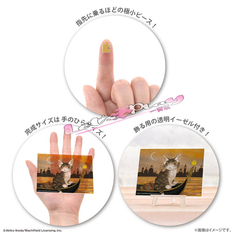 達洋貓